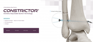 Constrictor Brand Design